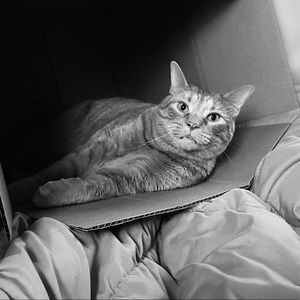 Meet your Posher, Kat